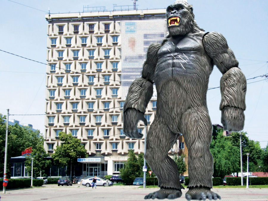 Se turnează Țiglina’s King Kong (PAMFLET)