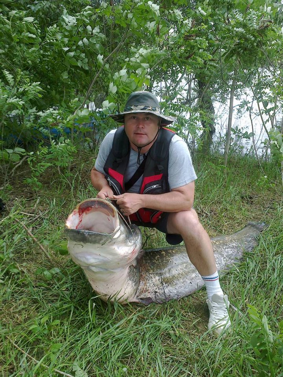 FOTO/ Fost campion mondial la popice, „profesor” la pescuit: A scos monstrul de pe fundul Dunării
