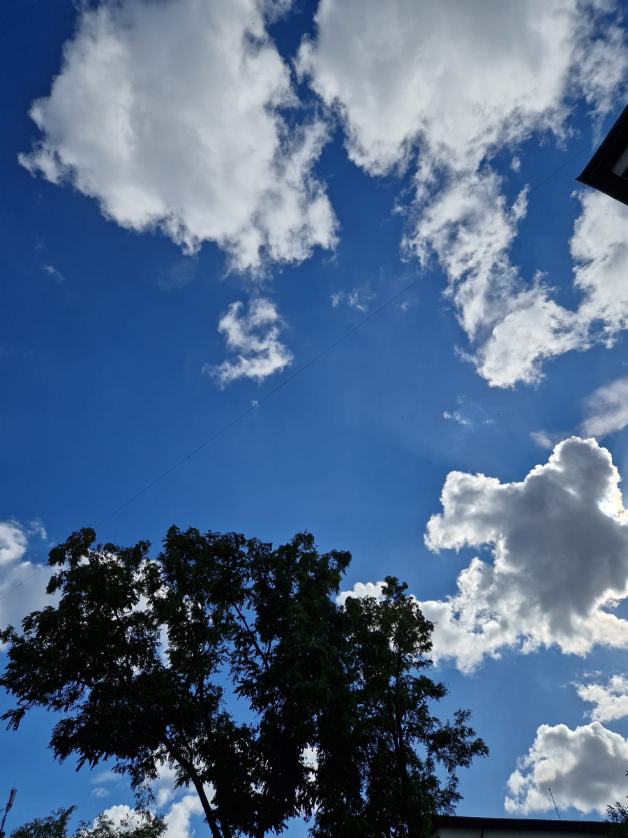 Meteo. Temperaturi în creştere uşoară