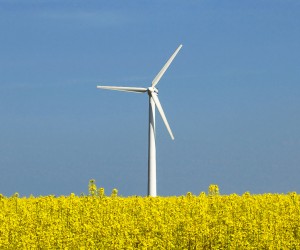 Energia verde aduce bani buni