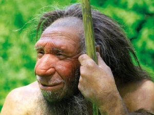 SISTEM IMUNITAR mai bun - Moştenirea genetică neanderthaliană