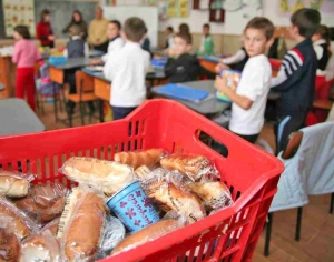 Laptele, cornul şi fructele elevilor, gestionate defectuos, ACUZĂ Camera de Conturi