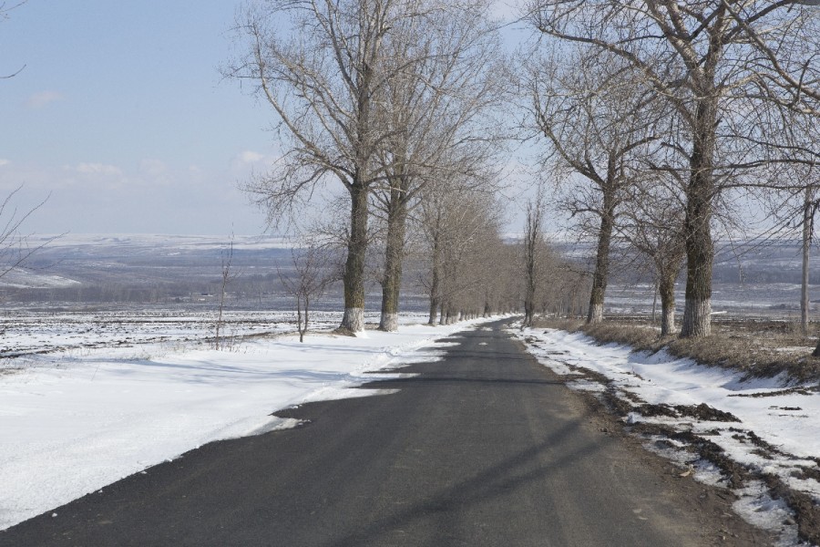 Un sat gălăţean fără locuitori - LEGENDA unui loc părăsit