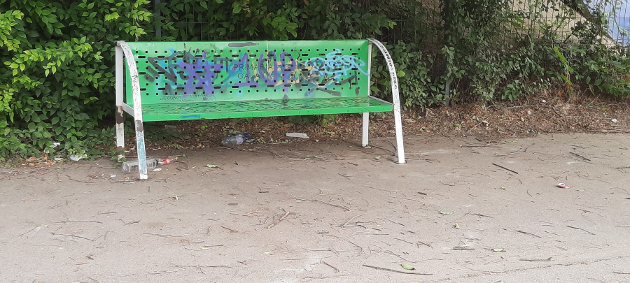 Parcul skaterilor de pe Faleză, neîngrijit