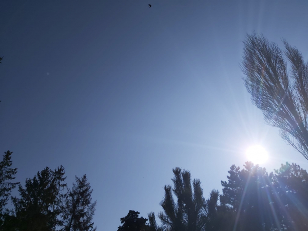Soare şi temperaturi de 25 de grade