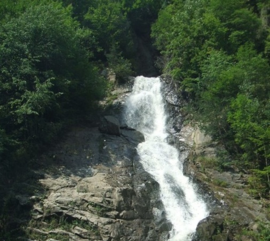 Cascada Lotrişor