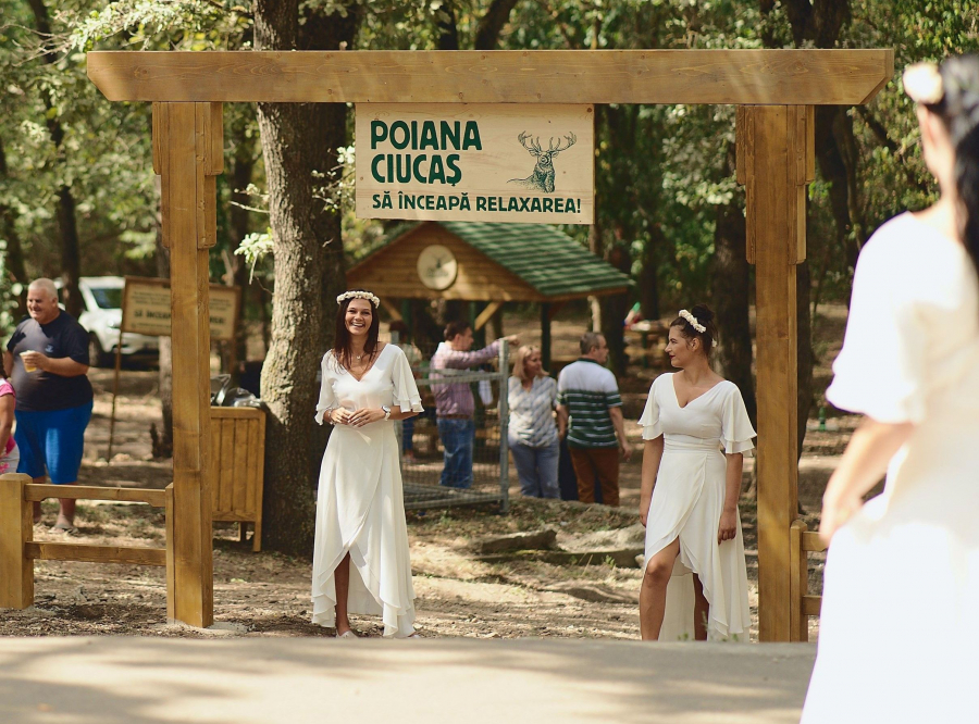 Un nou loc de picnic în Pădurea Gârboavele (FOTO)