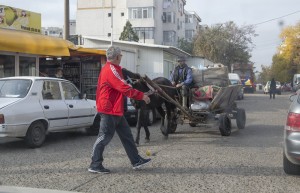 Când la trap, când la galop/ Cu căruţa de gunoi &quot;la bulivard...&quot;