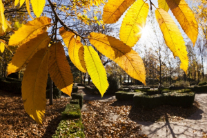 Temperaturi uşor mai ridicate, până la jumătatea lunii octombrie