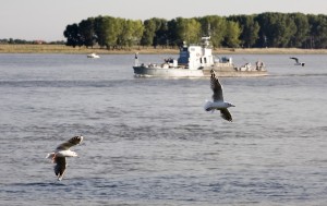 Fluviul, celebrat timp de cinci zile: De Ziua Dunării, film în aer liber