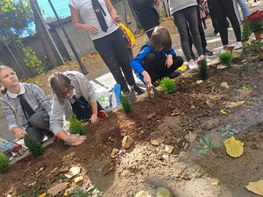 Plantări de flori la Colegiul Naţional „A. I. Cuza”