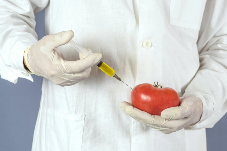 Substanțele toxice, în produsele de zi cu zi. Atenţie la etichete!