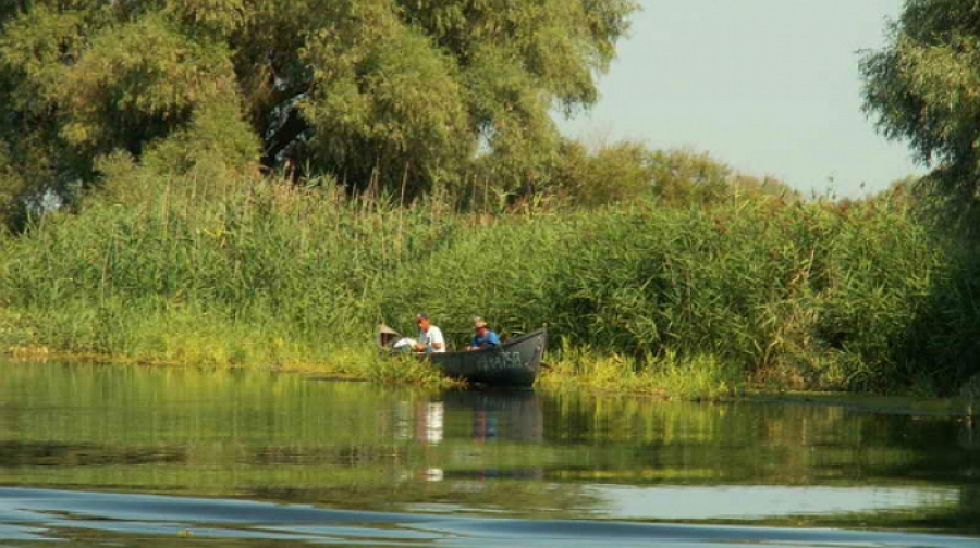 Nou program de transport pentru CĂLĂTORI în Delta Dunării