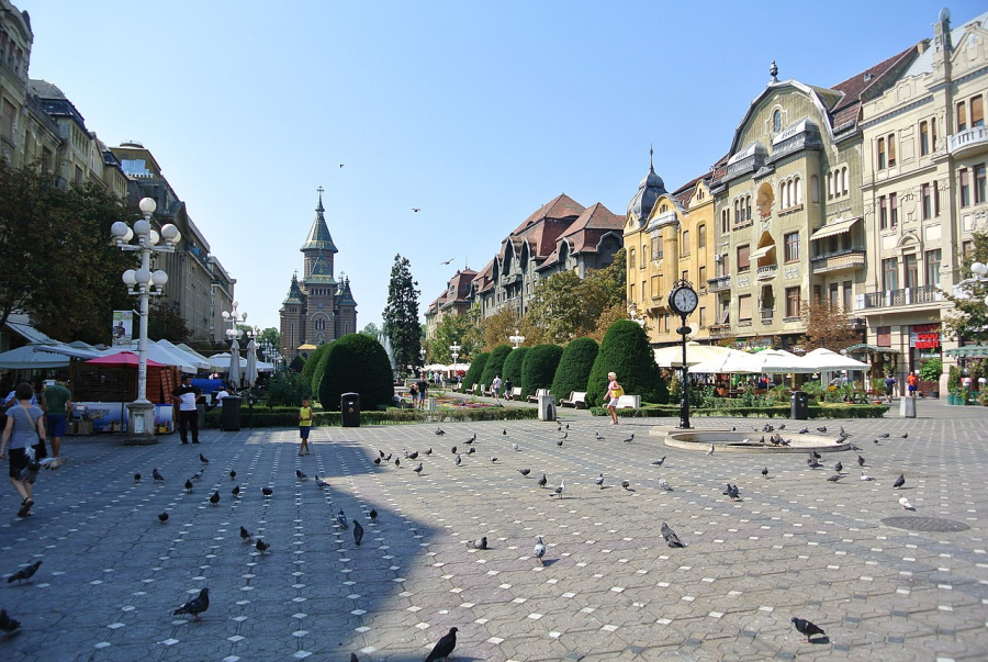 Timișoara este Capitală Europeană a Culturii
