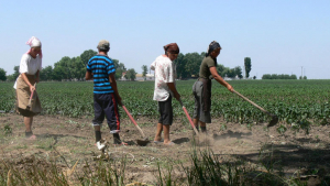Crește și tariful minim al zilierilor