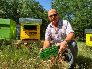 S-a întors din Italia ca să facă apicultură la Tîrgu Bujor (FOTO)