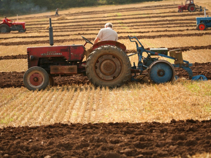 Agricultorii ar putea plăti impozitele la primării dacă nu există unitate ANAF în localitate