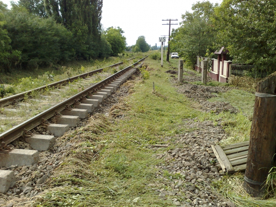 Un puşti a pus în PERICOL un tren cu călători. Motivaţia copilului i-a ŞOCAT pe poliţişti