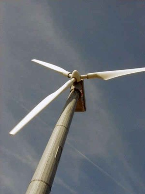 Parcul eolian de la Frumuşiţa - Afacerea anului cu „energie verde”