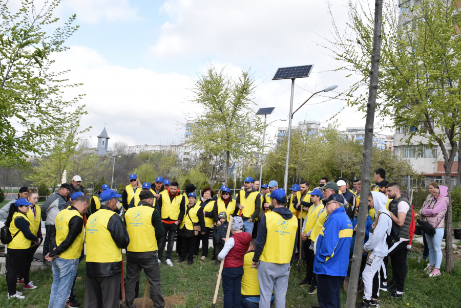 Azi, un copac! Mâine, o pădure! Campanie inițiată, la sfârșitul săptămânii trecute, de liberalii gălățeni