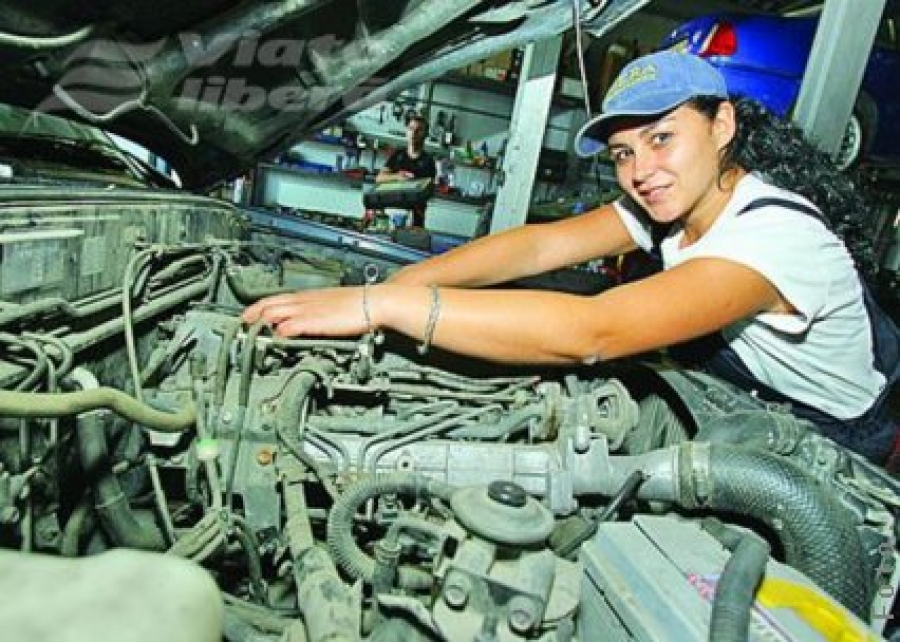 Trialog în service