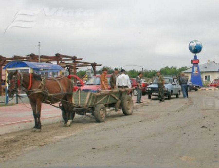 Trei săptămâni cu mortul în casă 
