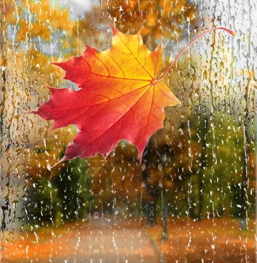 Cum va fi vremea în prima zi a săptămânii