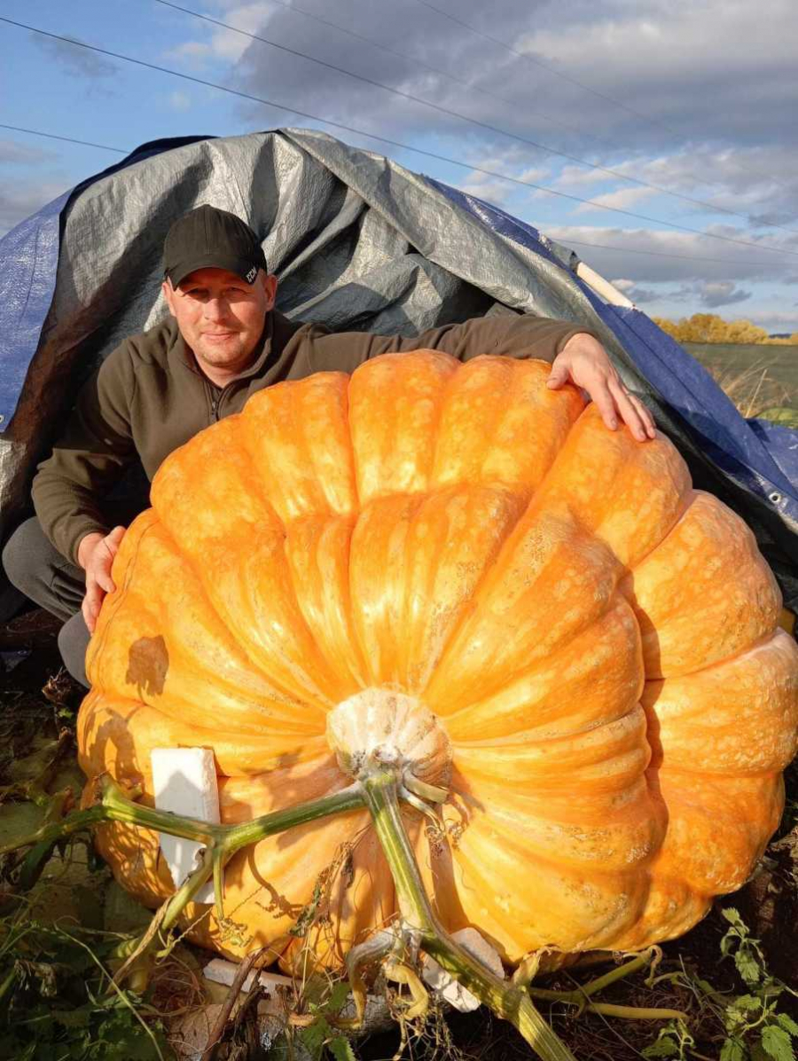 Un dovleac de 300 de kg, vedeta Halloween 2023, în Romania (FOTO)