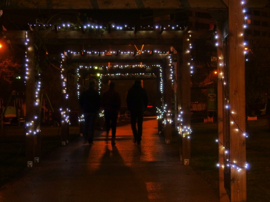 UPDATE/ Avem LUMINIŢE FESTIVE şi în PARCUL VIVA! (FOTO)