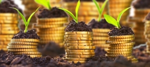 ÎNCEP plăţile avansurilor din subvenţie