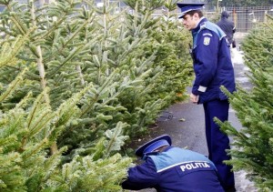150 de poliţişti vor fi pe străzi de Crăciun! Vezi ce urmăresc oamenii legii!