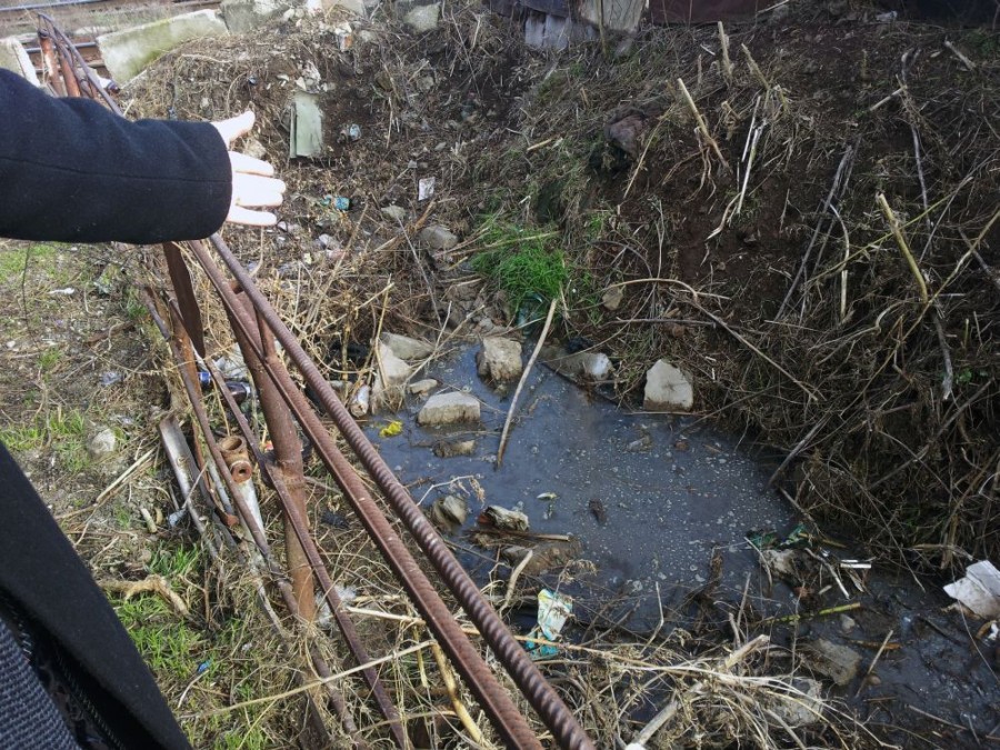 GALERIE FOTO / VIDEO Autorităţile se feresc de fermele interlopilor! Vezi aici ce se petrece în Vadul Ungurului