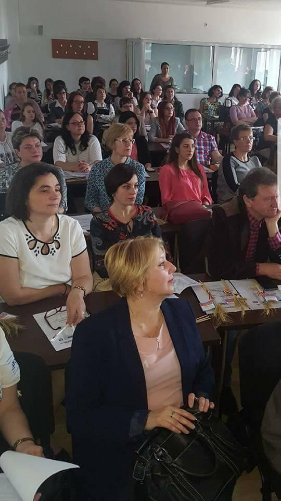 Profesorii de limba română au discutat despre orele opţionale