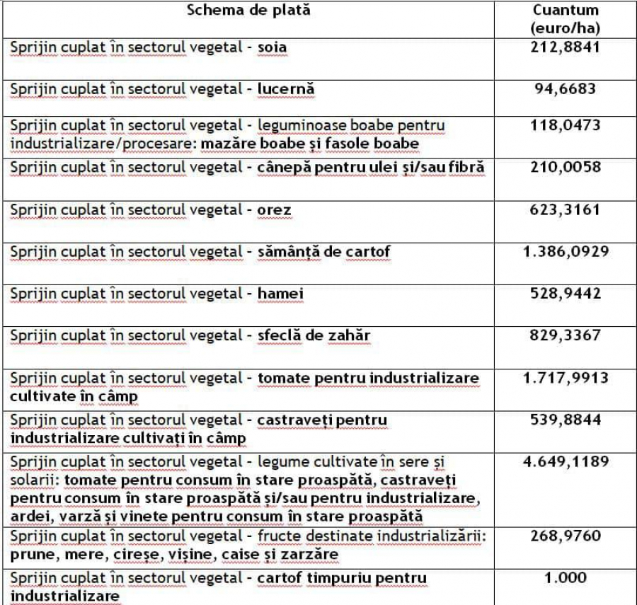 APIA demarează plățile pentru sectorul vegetal