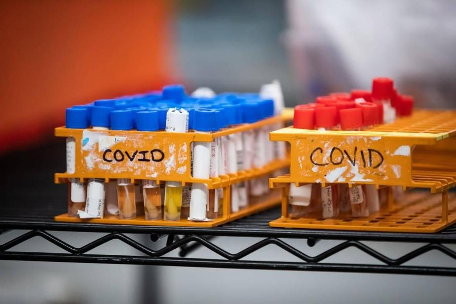Testare rapidă COVID-19, în farmacii (Proiect)