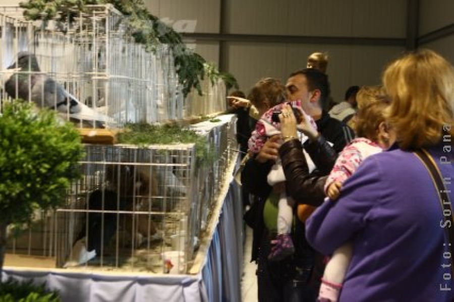 Peste 8.000 de gălăţeni la expoziţia de păsări şi animale