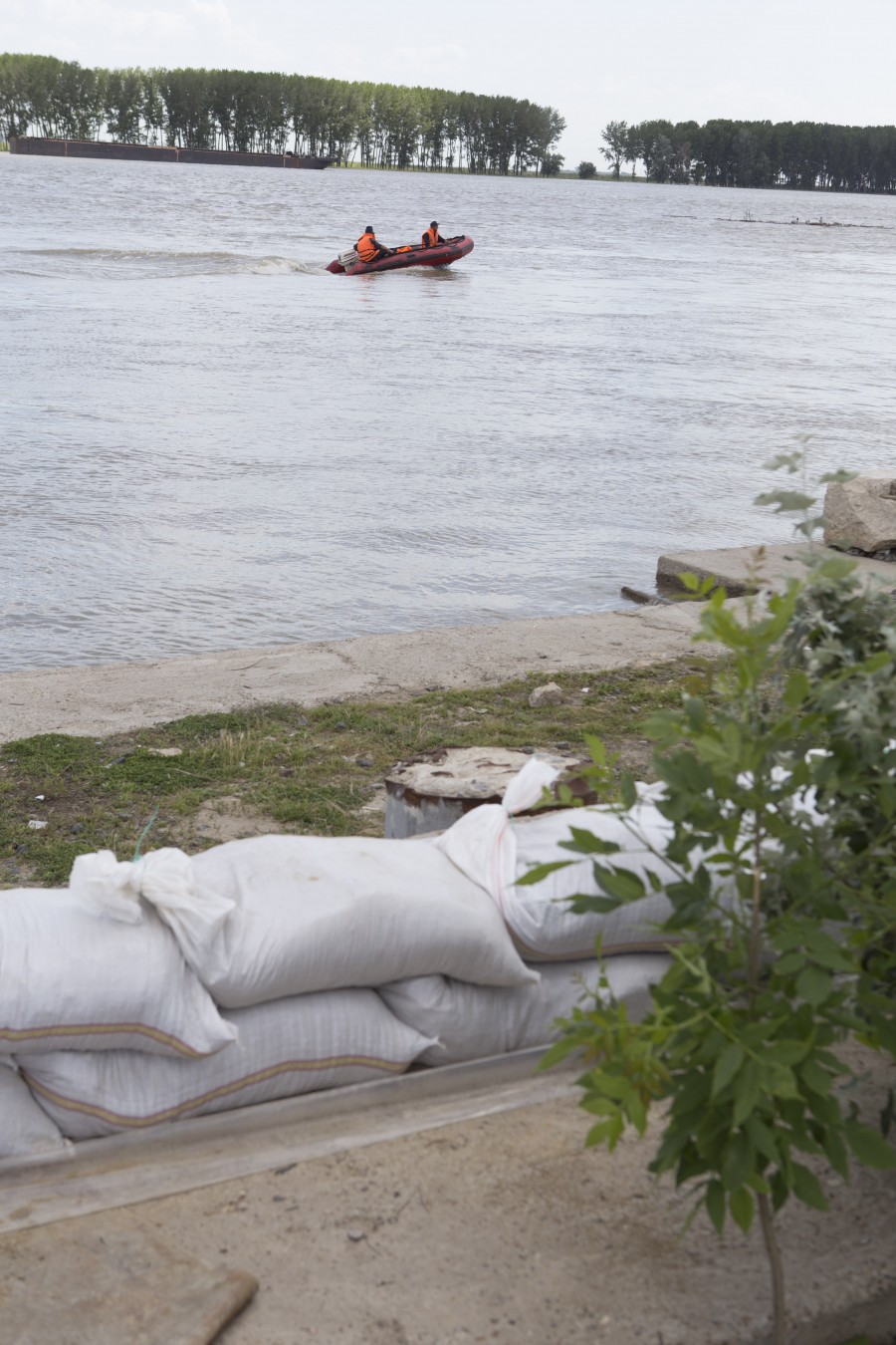 Dunărea, în continuă creştere. A început construirea digului din saci (FOTO/ VIDEO)