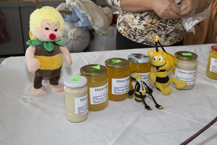 Mierea s-ar putea scumpi! E un an greu pentru apicultorii gălăţeni 