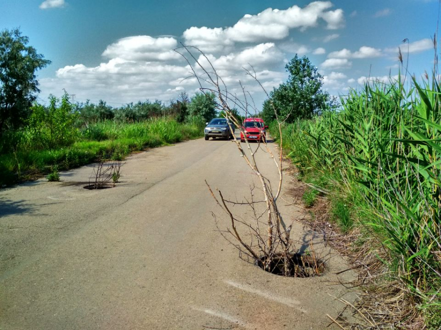 Vreascuri şi scaieţi, în loc de capace de canalizare (FOTO)