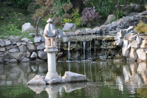 Campanie VL &quot;Eu vara nu dorm&quot;/ Concediu în Galaţi: Cât costă şi ce poţi vedea în Grădina Botanică (FOTO)