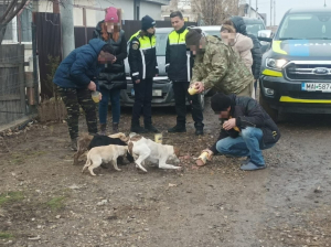 Poliția, pe urmele deținătorilor de câini din județul Galați