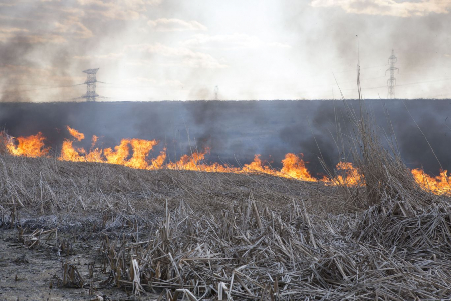 A scăzut numărul incendiilor de vegetaţie uscată