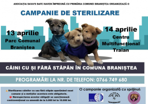 Campanie de sterilizare a câinilor la Braniștea