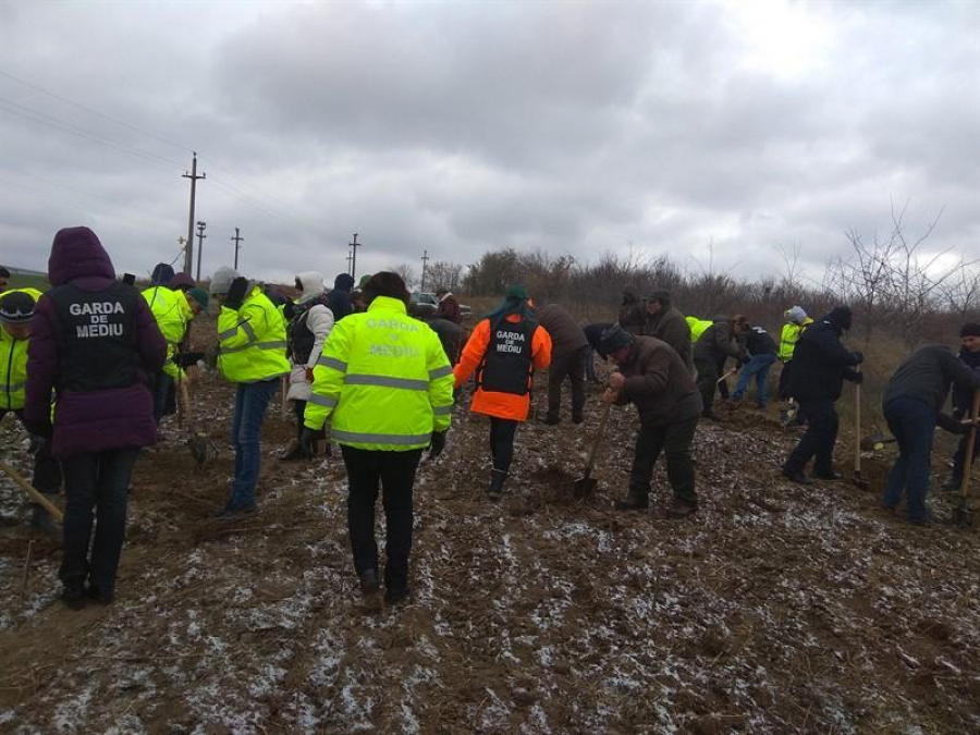 Flori pentru eroi şi 100 de stejari pentru urmaşi