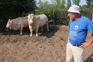 Un gălăţean creşte vaci de peste o mie de euro bucata, într-un fost CAP reabilitat (FOTO)