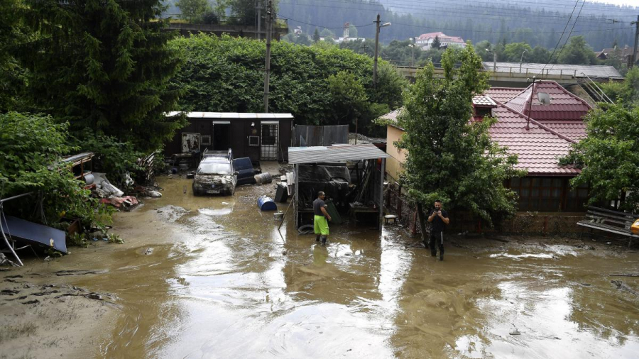 Despăgubiri de peste 119 milioane de lei, în baza asigurărilor