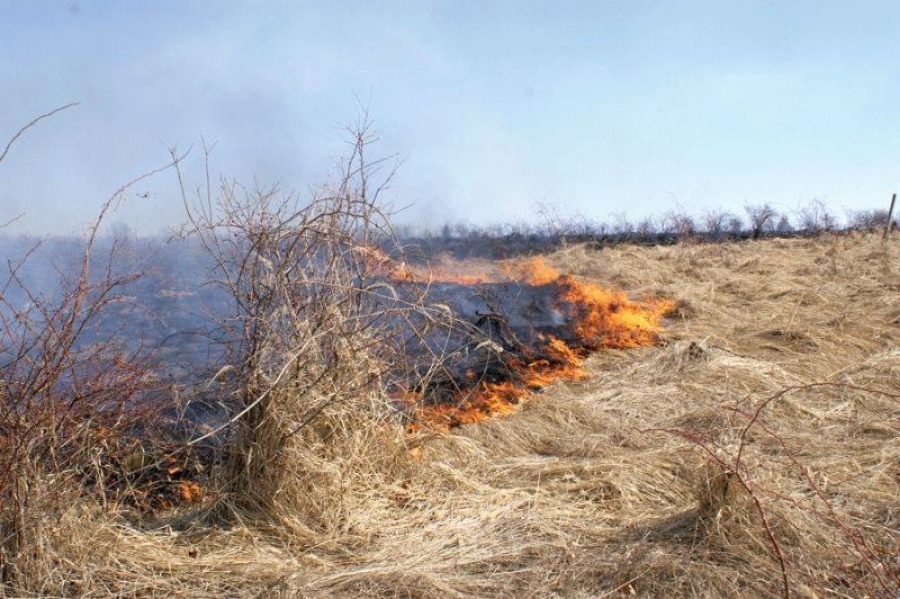 Bărbat cuprins de flăcări într-un incendiu de miriște