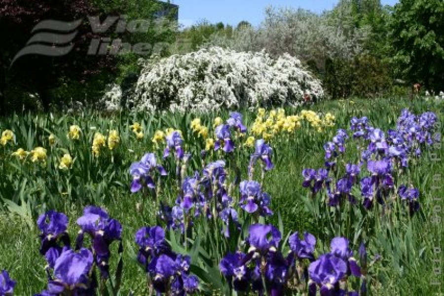 În Grădina Botanică, costul bate distracţia