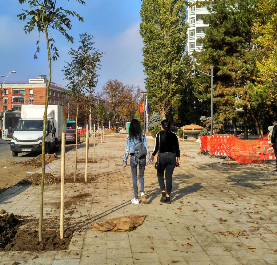 Două mii de arbori trebuie să prindă rădăcini în Galaţi