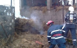 La Brăneşti, un grajd a ars de la un rest de ţigară